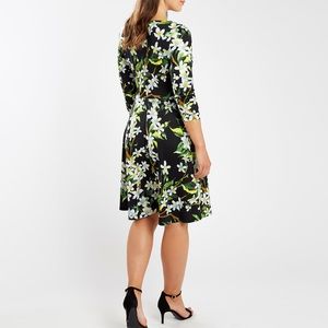 Joe Browns Peggy Sue dress
